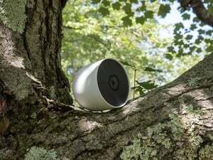 Tässä ovat markkinoiden parhaat Nest-kamerat tällä hetkellä 