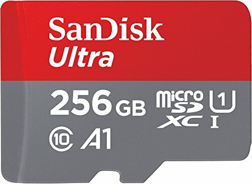 SanDisk Ultra 256 GB microSD-Karte